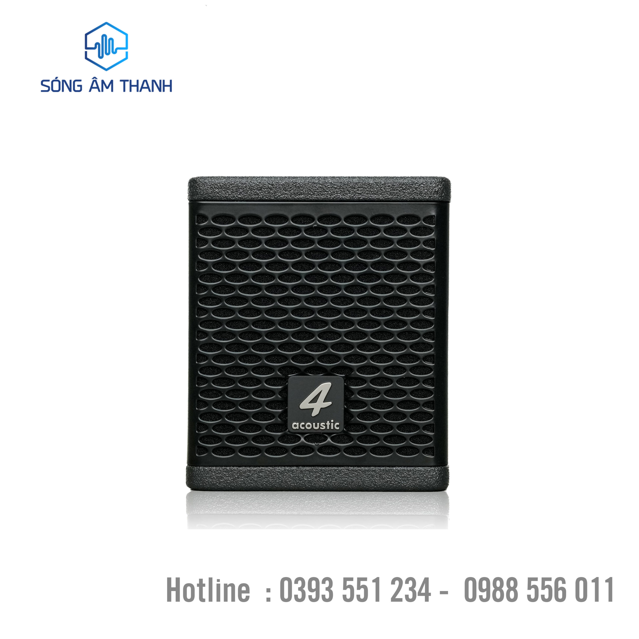 Loa Coaxial Source Point 4Acoustic HCS 108C